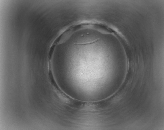 X0000069791221200605191030