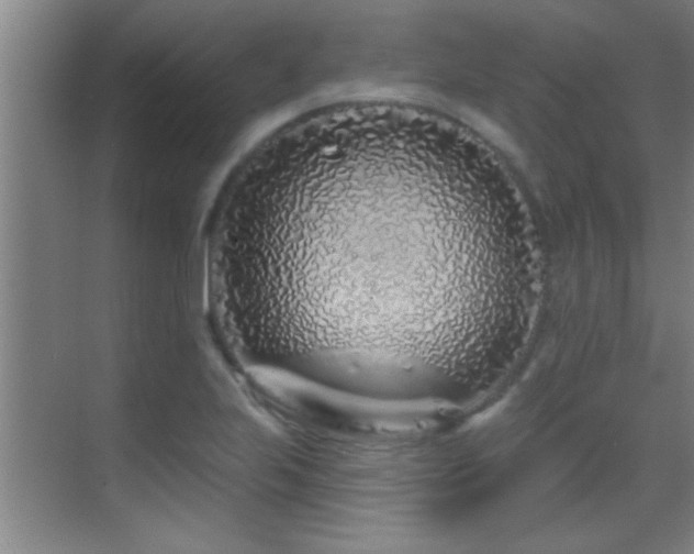 X0000069791223200605191030