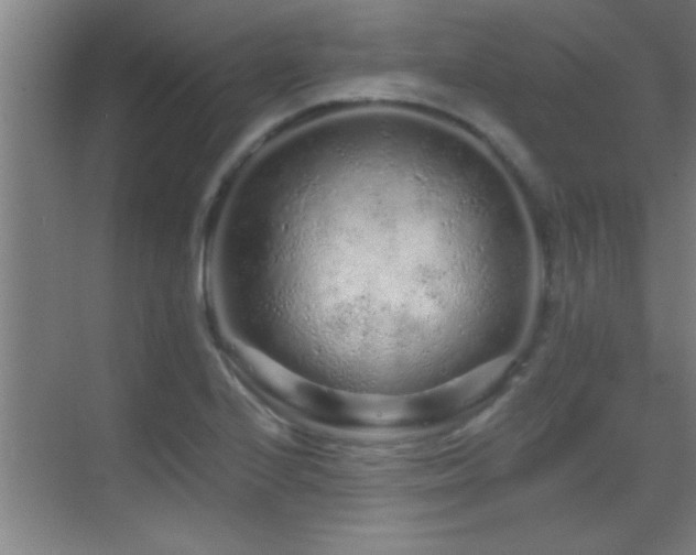 X0000069791224200605191030