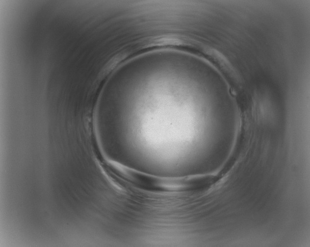 X0000069791225200605191030