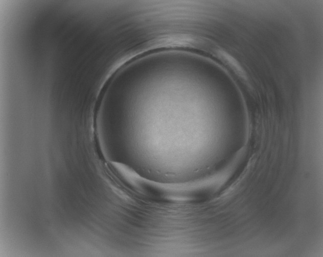 X0000069791226200605191030