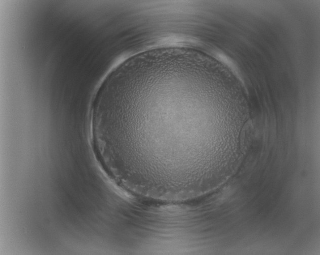 X0000069791227200605191030