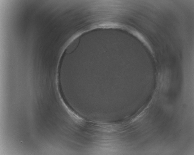 X0000069791229200605191030