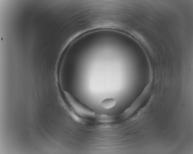 X0000069791230200605191030