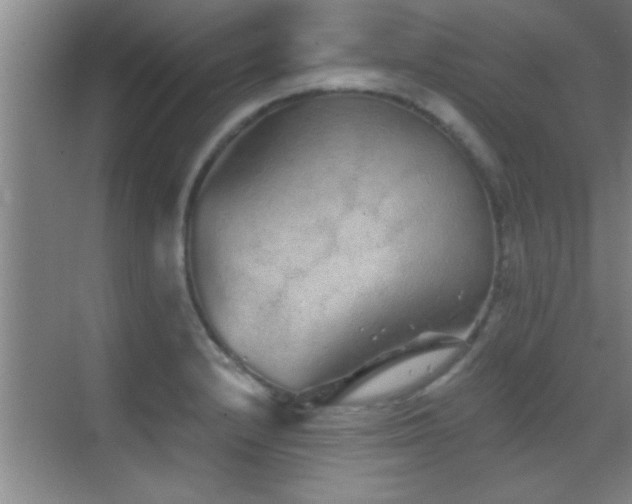 X0000069791232200605191030