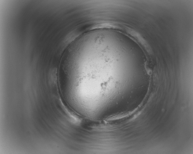 X0000069791233200605191030