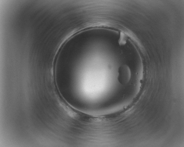 X0000069791234200605191030