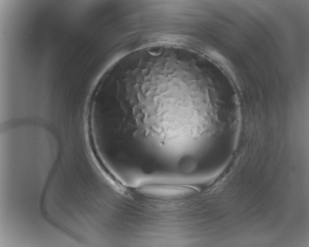 X0000069791235200605191030