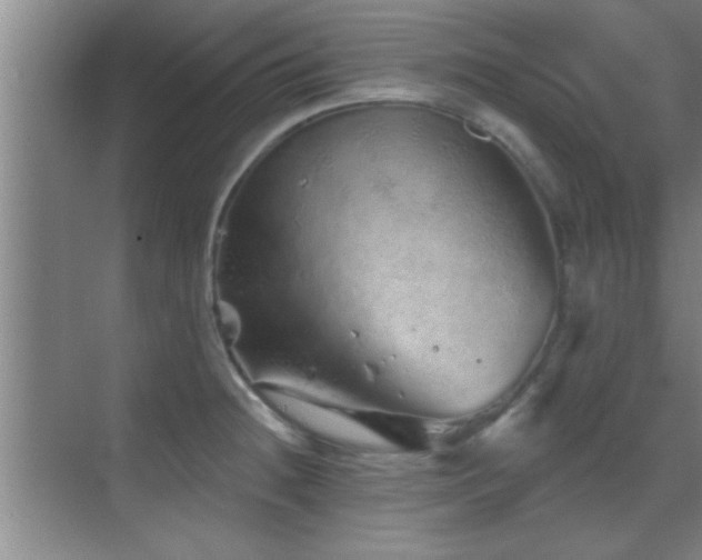 X0000069791236200605191030