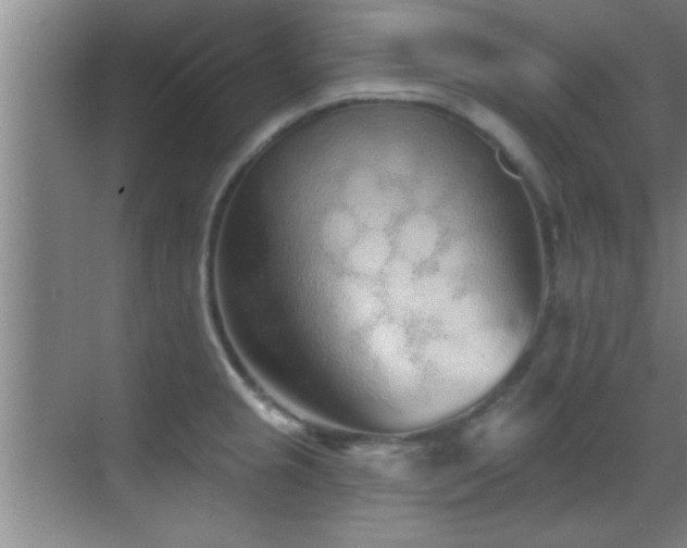 X0000069791237200605191030