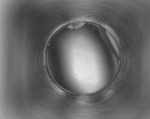 X0000069791238200605191030