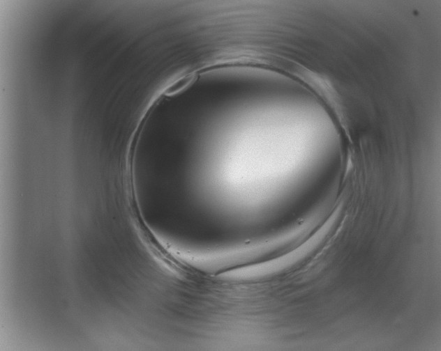 X0000069791242200605191030