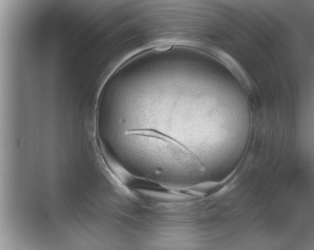 X0000069791244200605191030