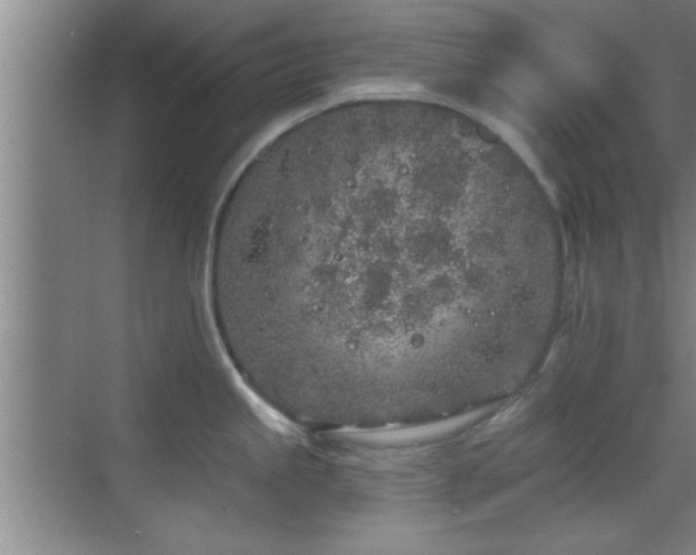 X0000069791245200605191030