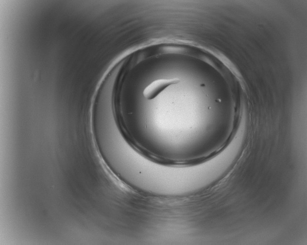 X0000069791246200605191030