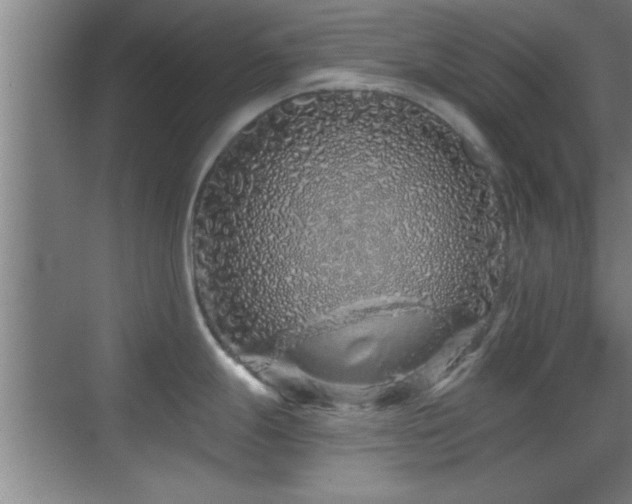 X0000069791247200605191030