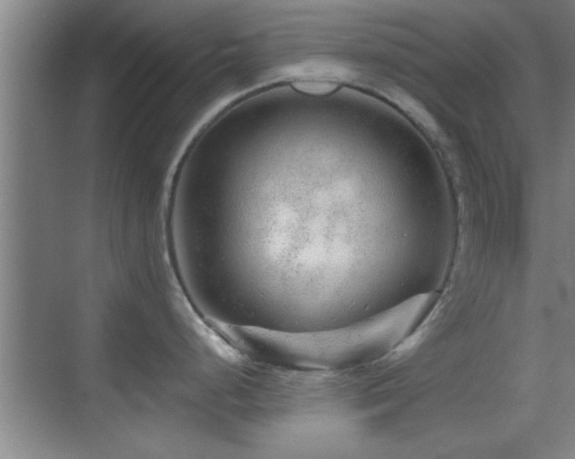 X0000069791248200605191030