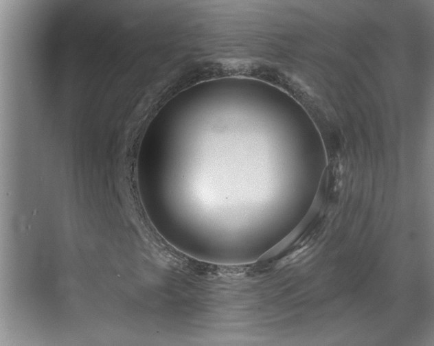 X0000069791249200605191029