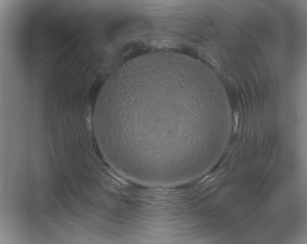 X0000069791251200605191029