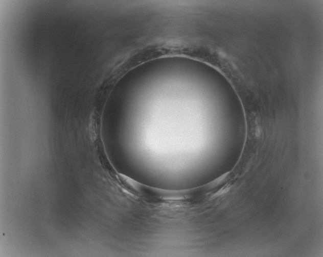 X0000069791253200605191029