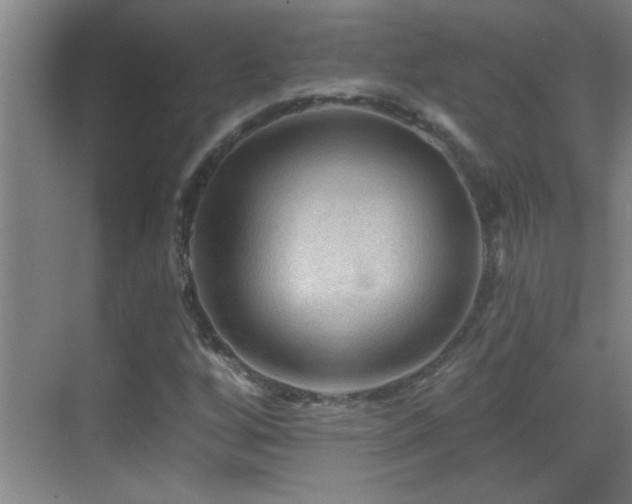 X0000069791256200605191029