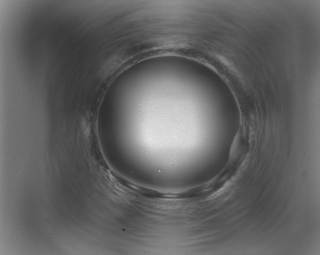 X0000069791257200605191029