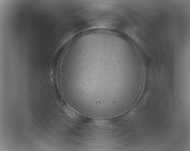 X0000069791258200605191029