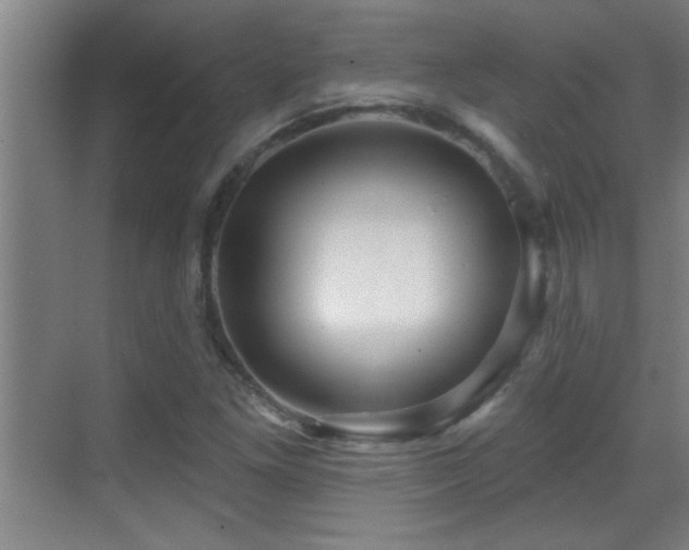 X0000069791261200605191029