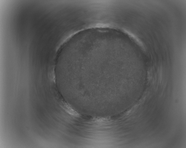 X0000069791262200605191029