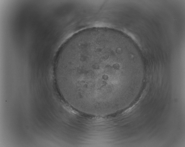 X0000069791263200605191029