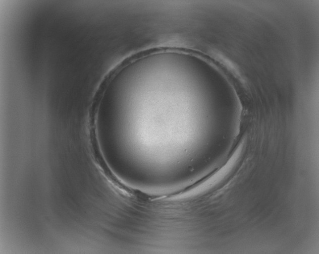 X0000069791264200605191029