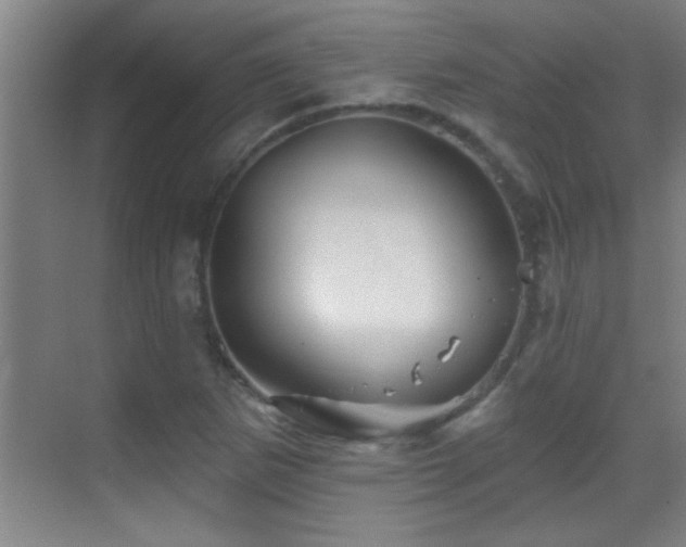 X0000069791265200605191029