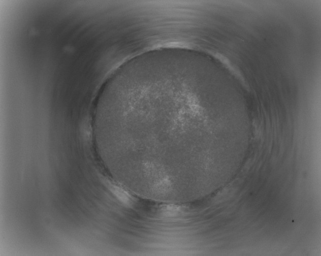 X0000069791266200605191029