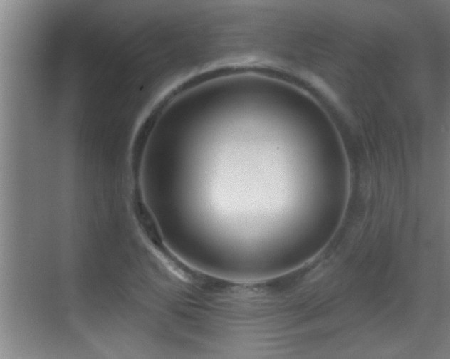 X0000069791270200605191029