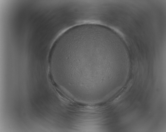 X0000069791271200605191029