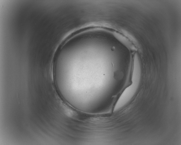 X0000069791272200605191029