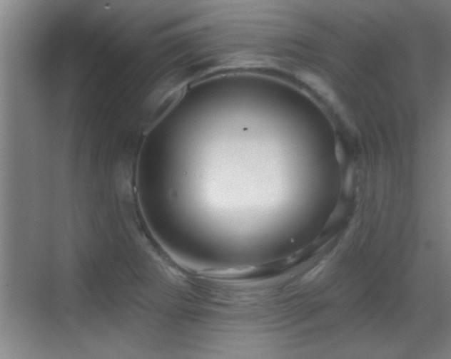 X0000069791273200605191029