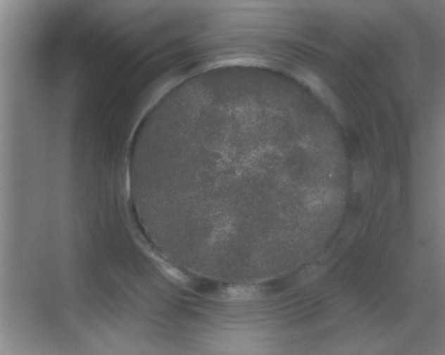 X0000069791274200605191029