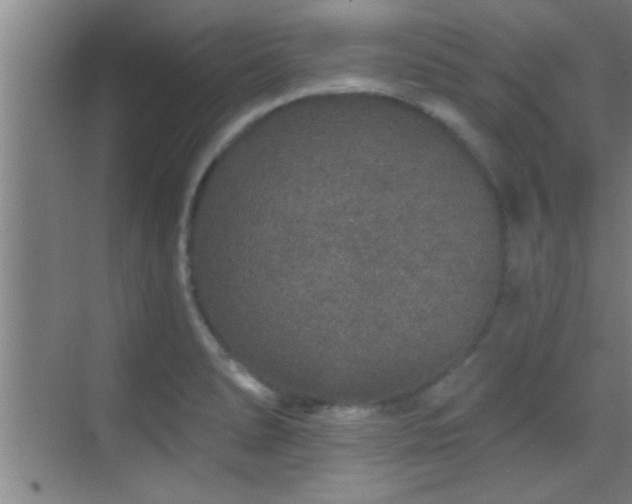 X0000069791278200605191029