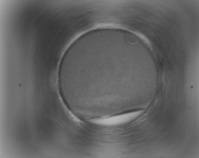 X0000069791279200605191029