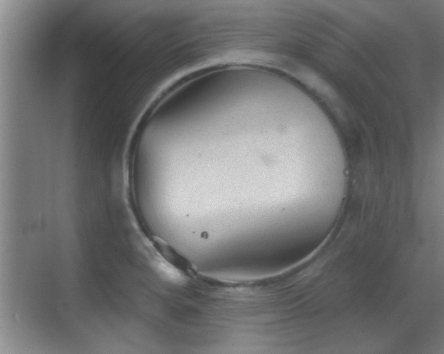 X0000069791280200605191029