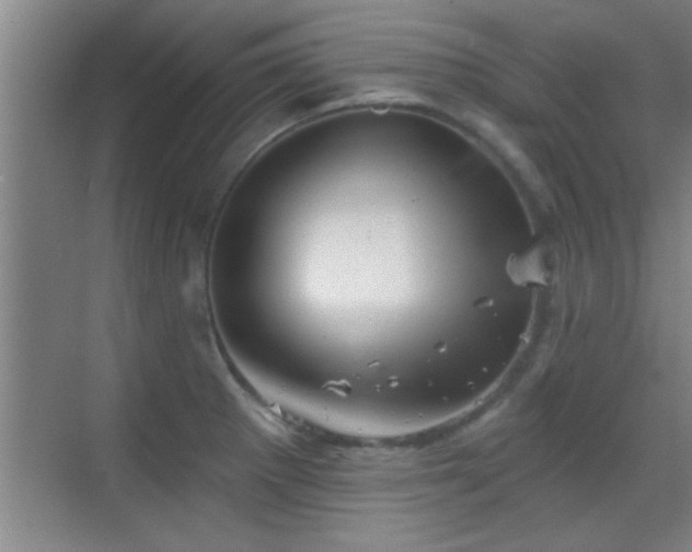 X0000069791281200605191029