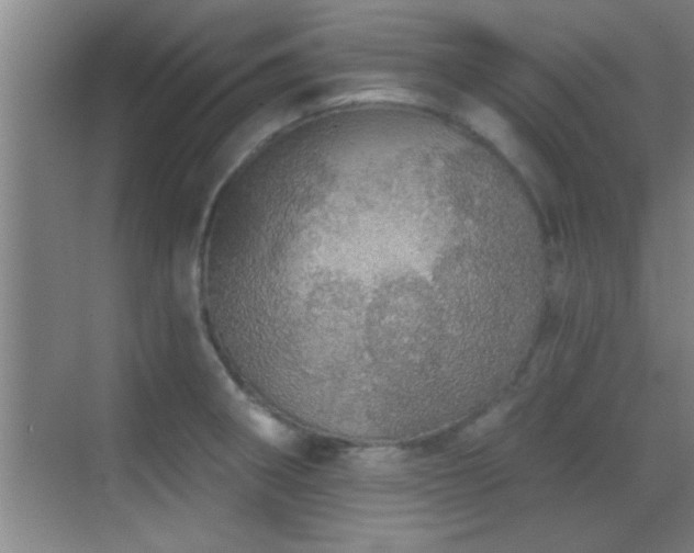 X0000069791282200605191029