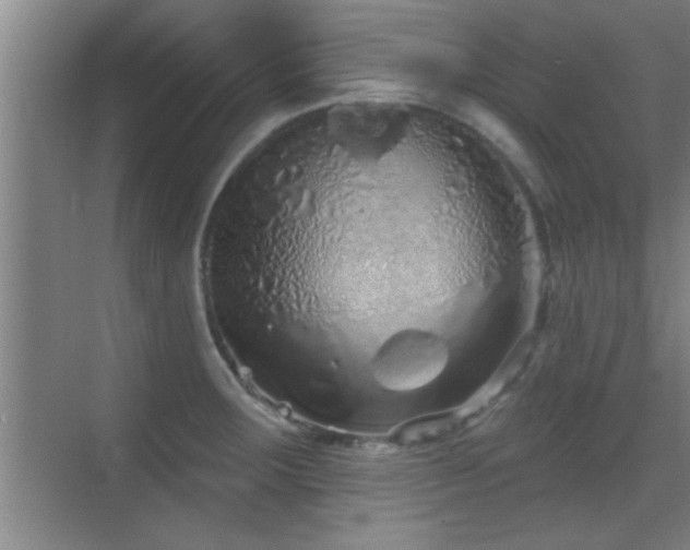 X0000069791283200605191029