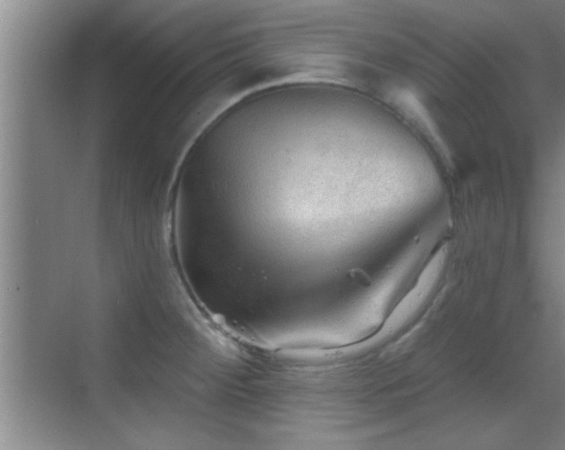 X0000069791284200605191029