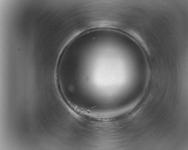 X0000069791285200605191029