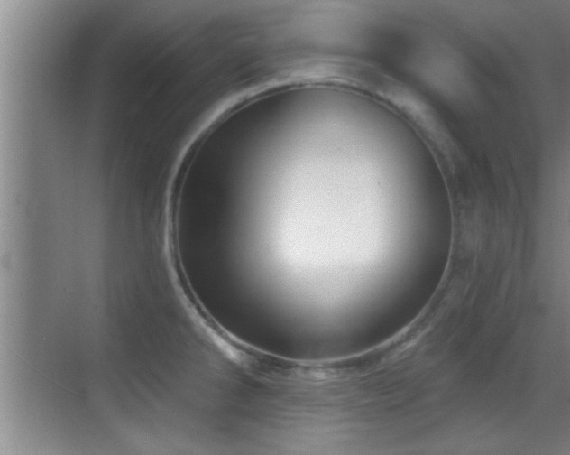 X0000069791286200605191029