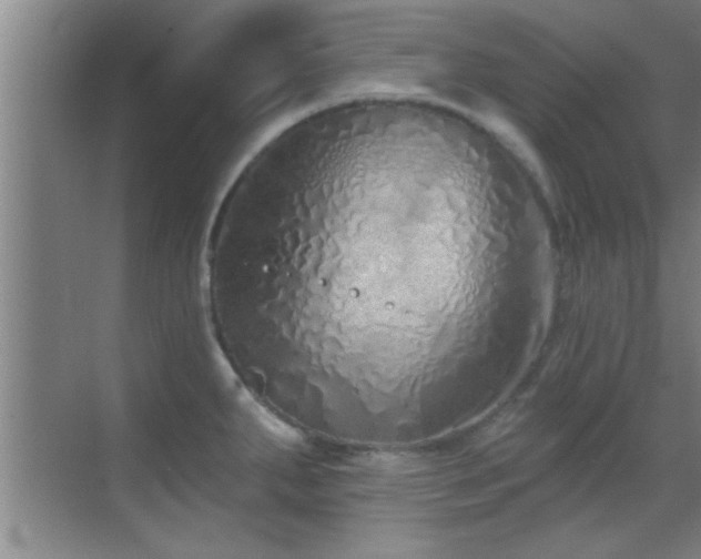 X0000069791287200605191029