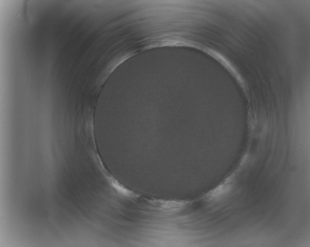 X0000069791289200605191029