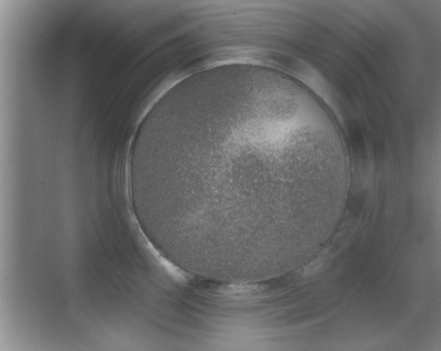 X0000069791290200605191029